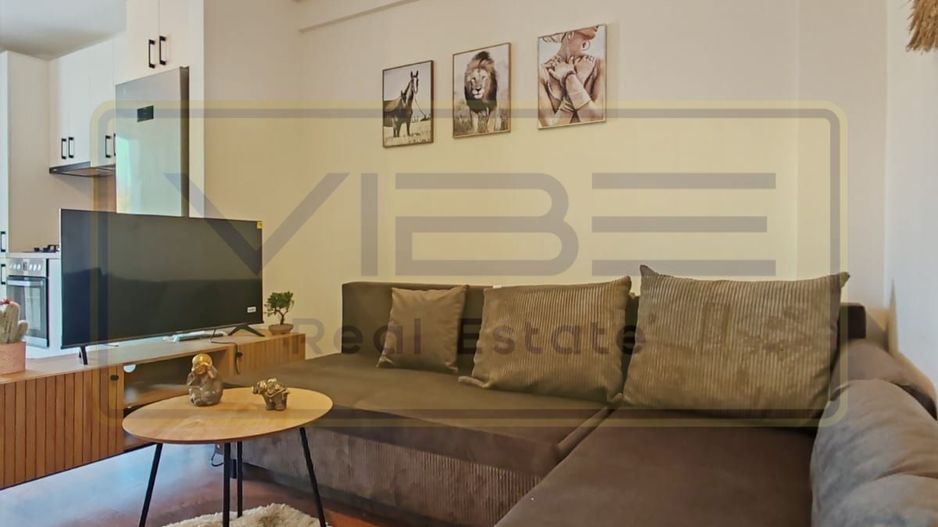 Vișan - Bloc nou-prima închiriere - 2 camere -299 euro! - Poză 11