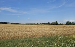 Vanzare Teren Intravilan Buftea, 750mp, str. Ulmului, Pista Biciclete - Poză 2