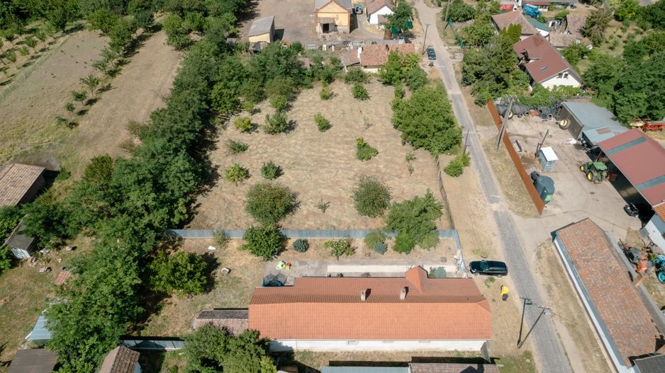 Casă cu teren 3332mp în Bătania - Poză 15