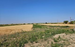 Vanzare teren Bradu - Primarie - Poză 7