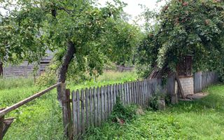 Casă + Teren 1285 mp | Cacica | Suceava - Poză 8