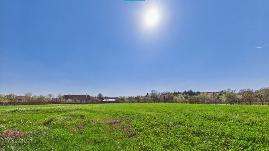 Teren intravilan 3024 mp, în comuna Almaș, Arad - Poză 1