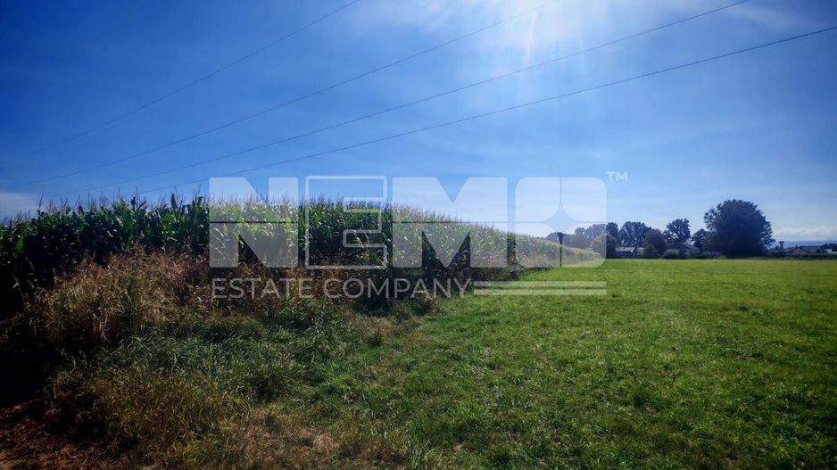 Teren generos | 45 Ari | Utilități în zonă | Deschidere la drum - Poză 3