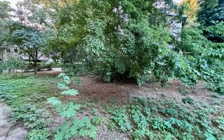 Teren intravilan ***438mp*** / PUD  // Floreasca - Poză 6