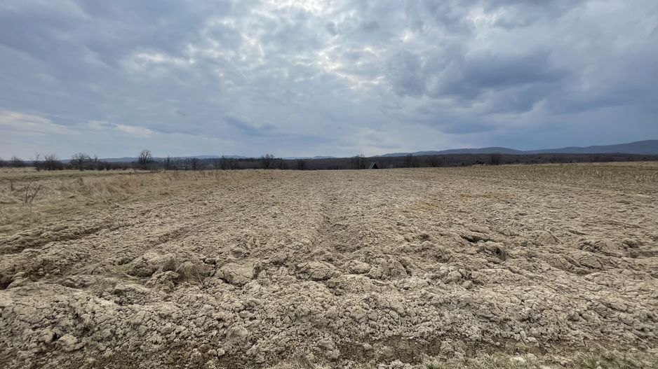 TEREN EXTRAVILAN | 23 ARI | HORODNIC DE SUS - Poză 5