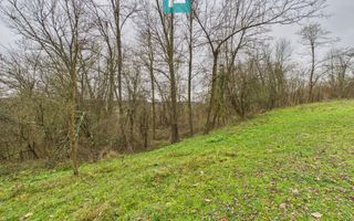 Casă cu teren de 24.679,73 mp, în Hălmagiu, Arad - Poză 26