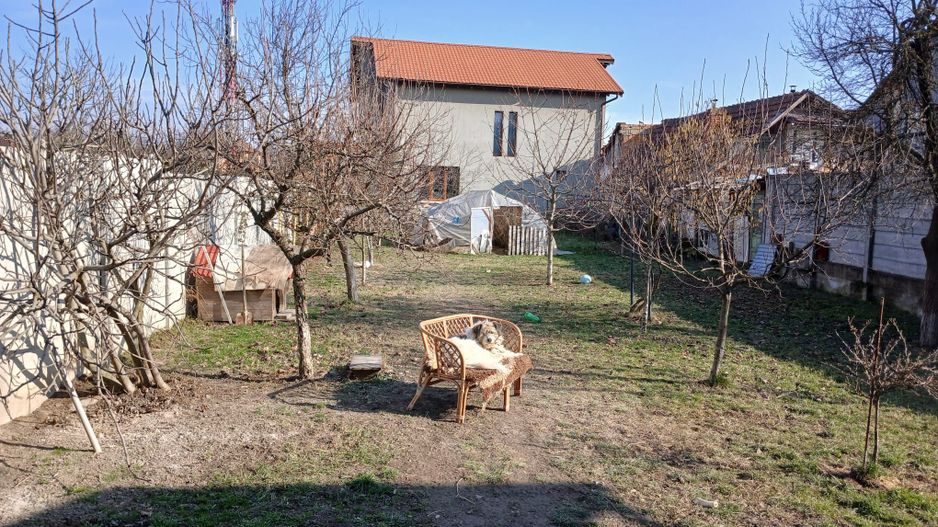 Casa P+ M - Poză 12