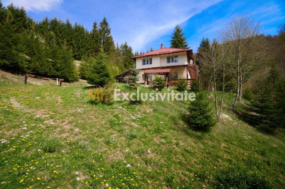 Casa Dambovicioara - CASA de vacanta sau PENSIUNE profitabila - Poză 11