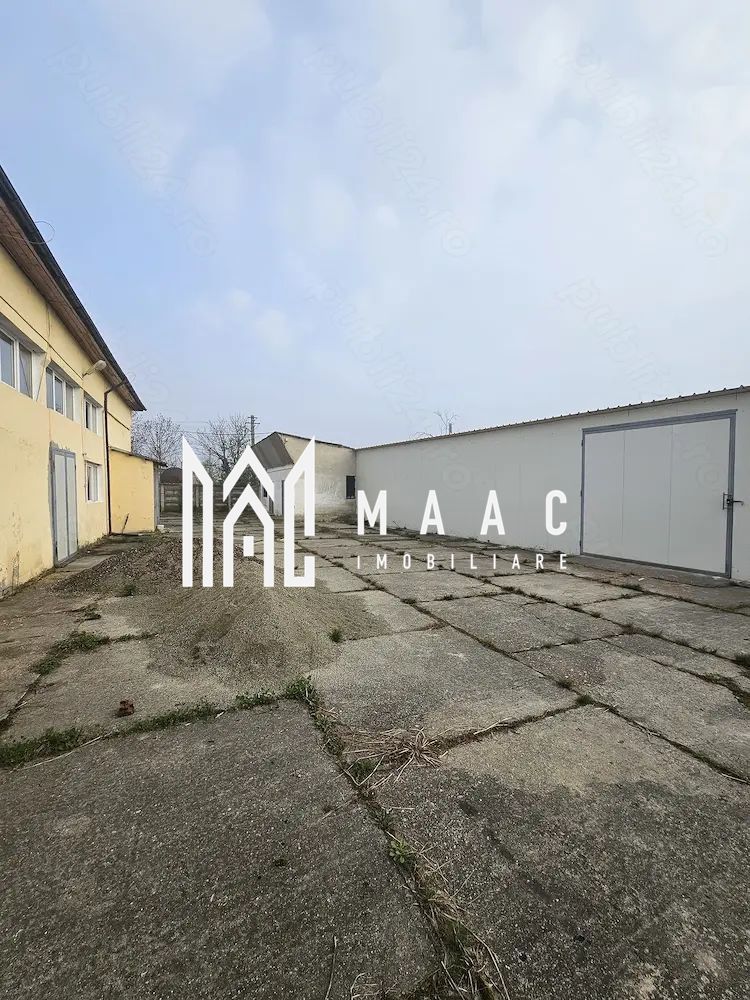 Hala I Spatiu Comercial I Nocrich - Poză 2