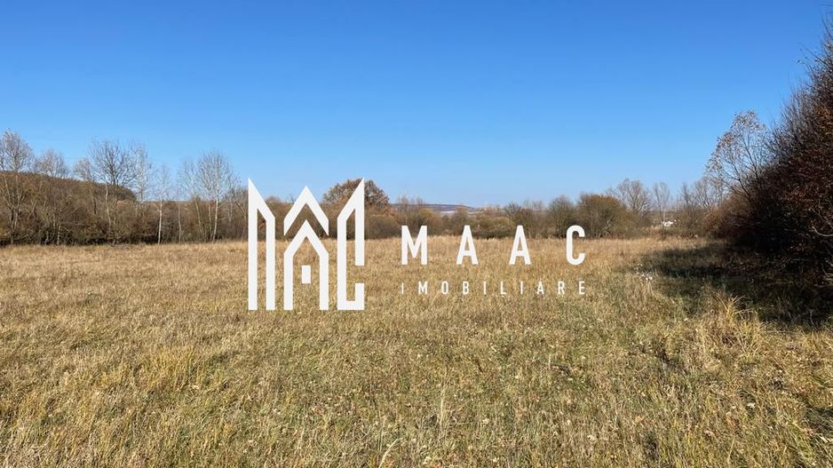 Teren industrial | servicii Selimbar DN | 2934mp - Poză 3