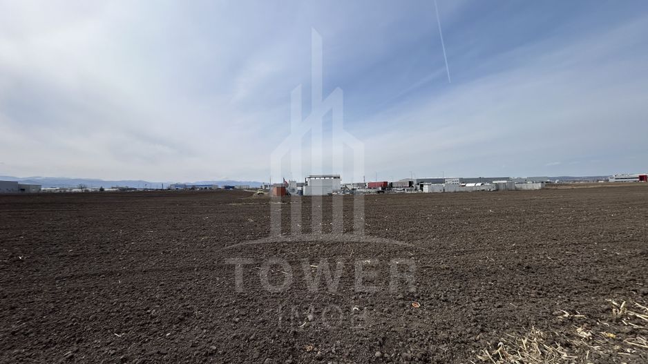 Teren intravilan de vânzare – 10.000 mp – Zona Industrială Vest | Comision 0% - Poză 5