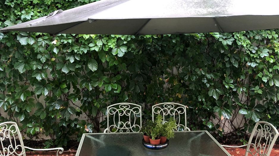 Vilă Superba de Lux de Închiriat în Iancu Nicolae – Confort și Eleganță la Cele - Poză 10