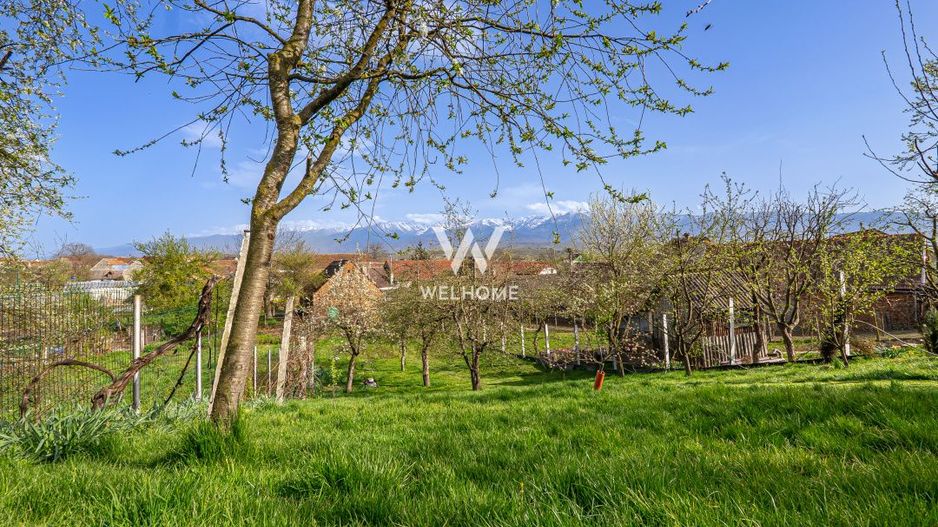 Casa individuala cu teren mare, vedere spre munti,  Avrig,  jud. Sibiu - Poză 15