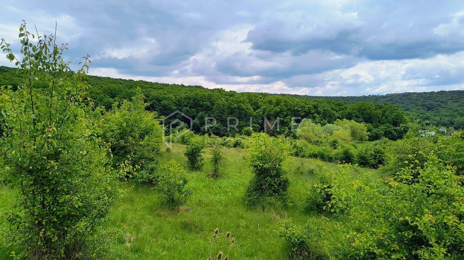 Oportunitate de investiție – 4 parcele în Corunca, 20 €/mp - Poză 5