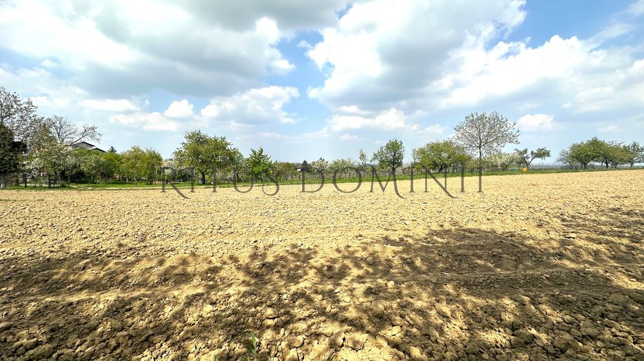 Teren Intravilan de Vânzare, Cetariu, 5450mp - Poză 4