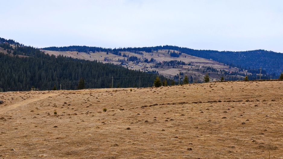 3149 MP in Statiunea Turistica Montana, Belis - Cluj, VEDERE LA LAC - Poză 3