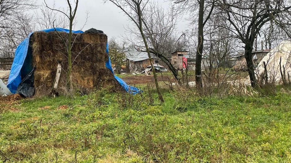 Teren intravilan 3367 mp cu casa demolabile 54 mp puț existent! - Poză 8