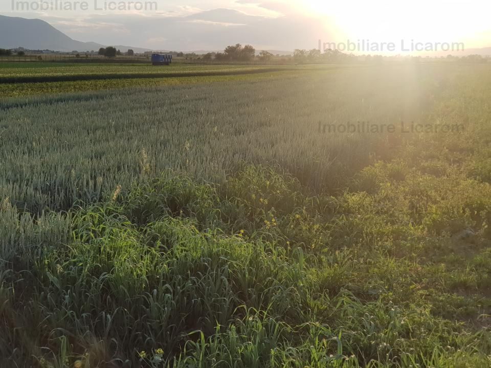 Teren Stupini Calea Feldioarei 4600 mp,22 euro/mp, front la asfalt - Poză 3