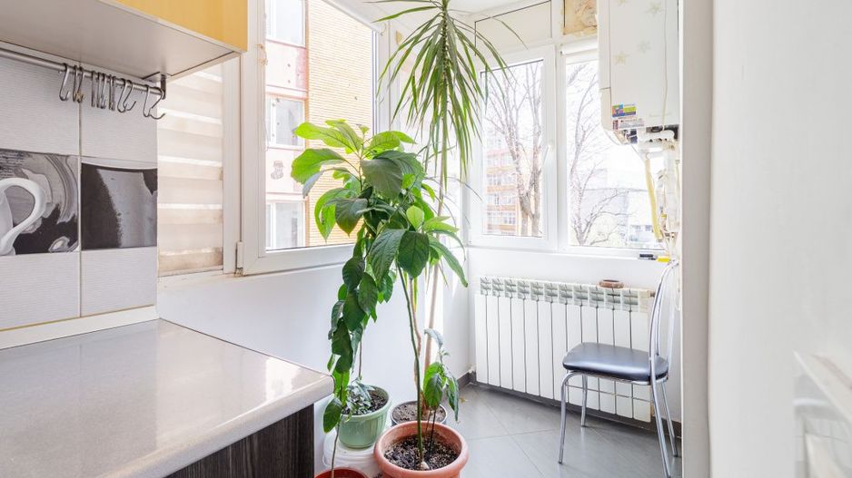 Apartament 3 camere Regie - Poză 8