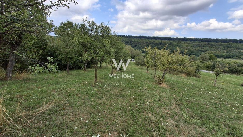 De vânzare teren extravilan în Sibiel, jud. Sibiu – 3223 mp - Poză 5