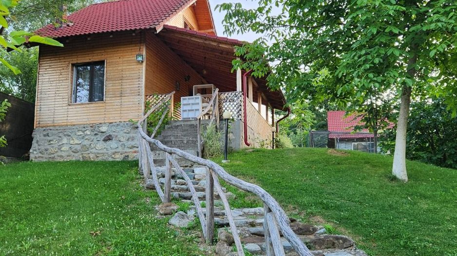 Vila Horezu Romanii de Jos - Poză 14