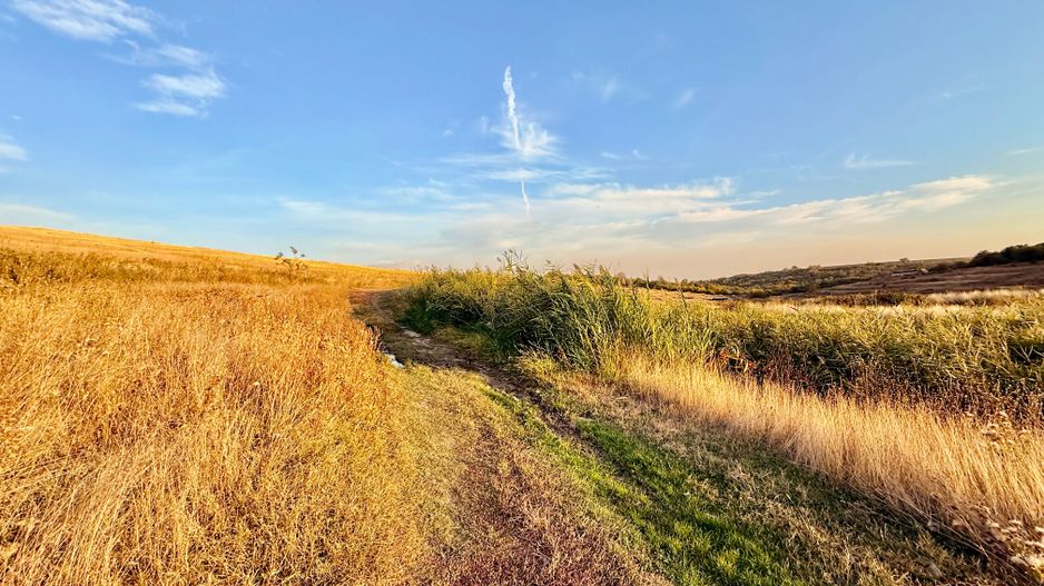 Teren Daia 75000 mp cu balta 30000 mp izvoare - Poză 13