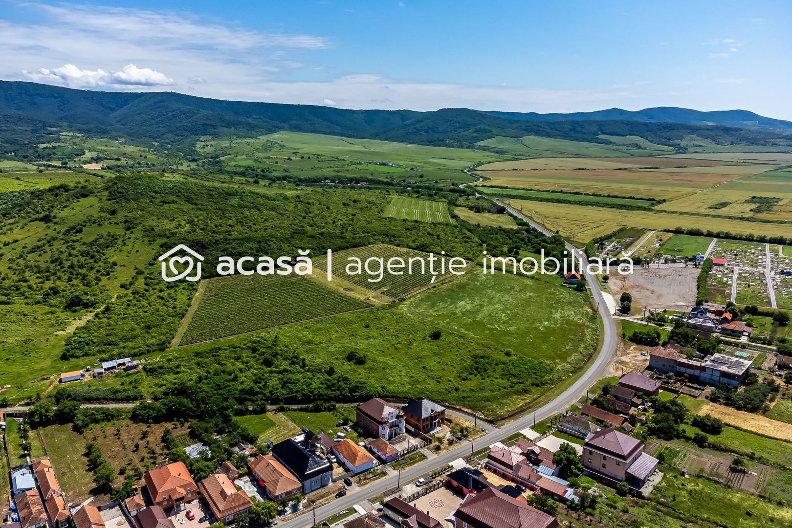 PRET REDUS Oportunitate de afacere, Teren cu vita de vie - Poză 5