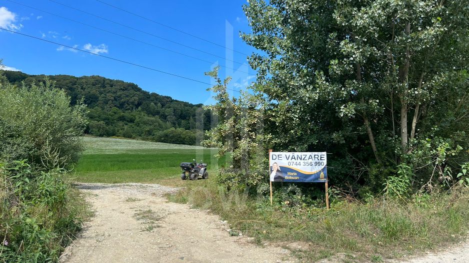 Teren extravilan de vânzare la ieșire din Bradu-Sibiu - Poză 1