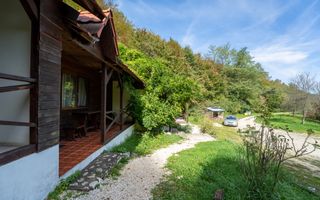 Domeniu în satul Căprioara - Poză 7