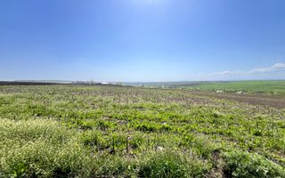 Teren Moara I 26Ari I Suceava/Moara I 7000 Euro/Ar - Poză 1