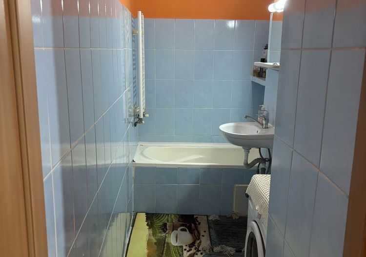Apartament 1 Camera Calea Buziasului - Poză 8
