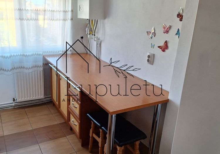Apartament de Inchiriat | 2 Camere | 46 MPU | Terezian - Poză 4