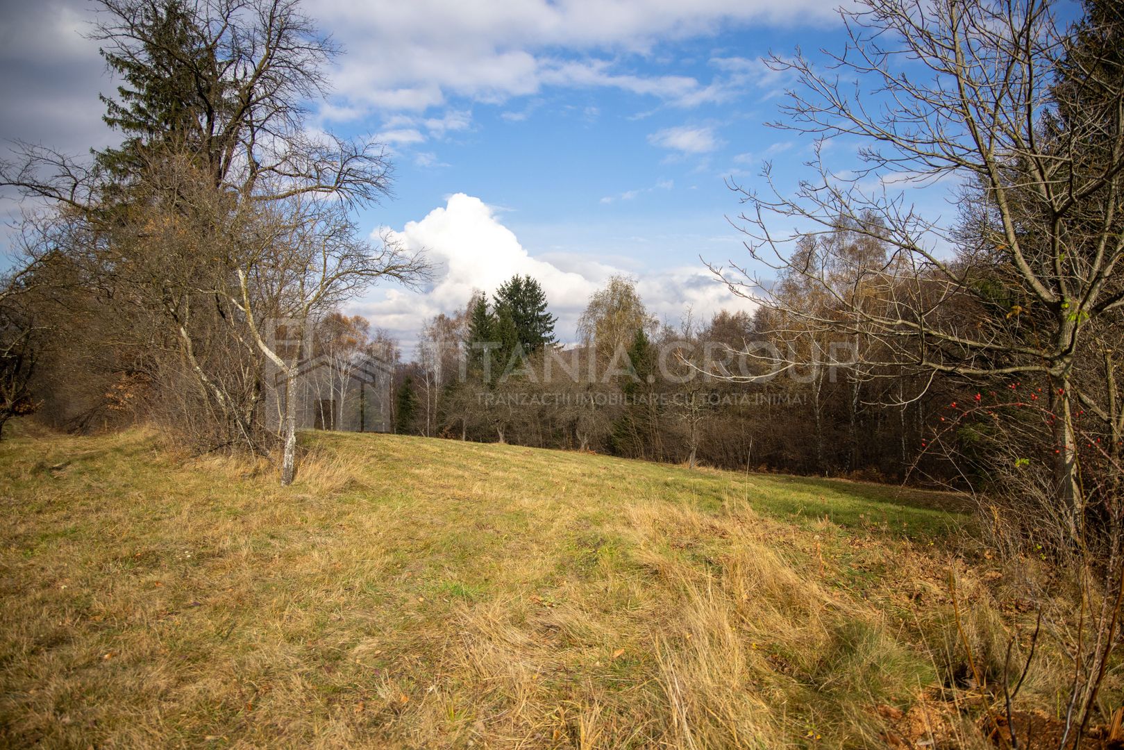 Teren intravilan, cu PUZ, Bran Tohanita,  SE ACCEPTĂ ȘI SCHIMB - Poză 17