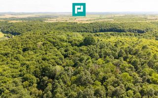 TEREN AGRICOL EXTRAVILAN  22.900 MP LIPOVA - Poză 13