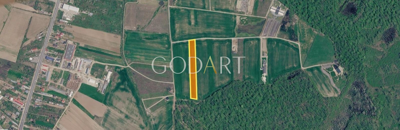 Teren 10.000 mp în Ciolpani | Deschidere la șosea | Pădurea Snagov - Poză 2