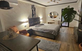 De inchiriat apartament 1 camera Ultimul Leu, etaj 5/7, 400 euro - Poză 8