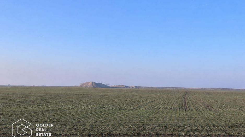 Teren agricol 32.000 mp, deschidere sosea Arad–Siria - Poză 1