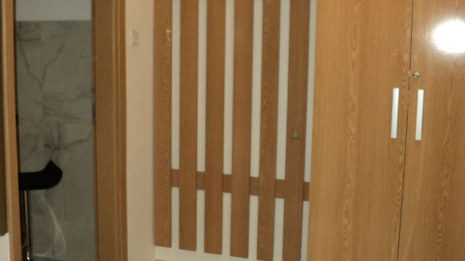 Apartament cu o camera decomandat | 45 mp + 12 mp terasa | Zorilor | UMF | USAMV - Poză 6