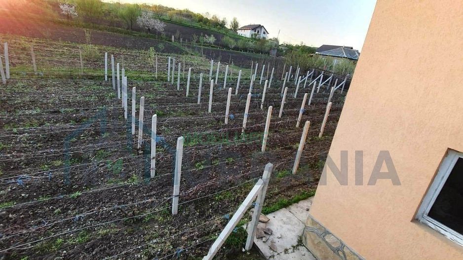 Vând casă și teren - Poză 8