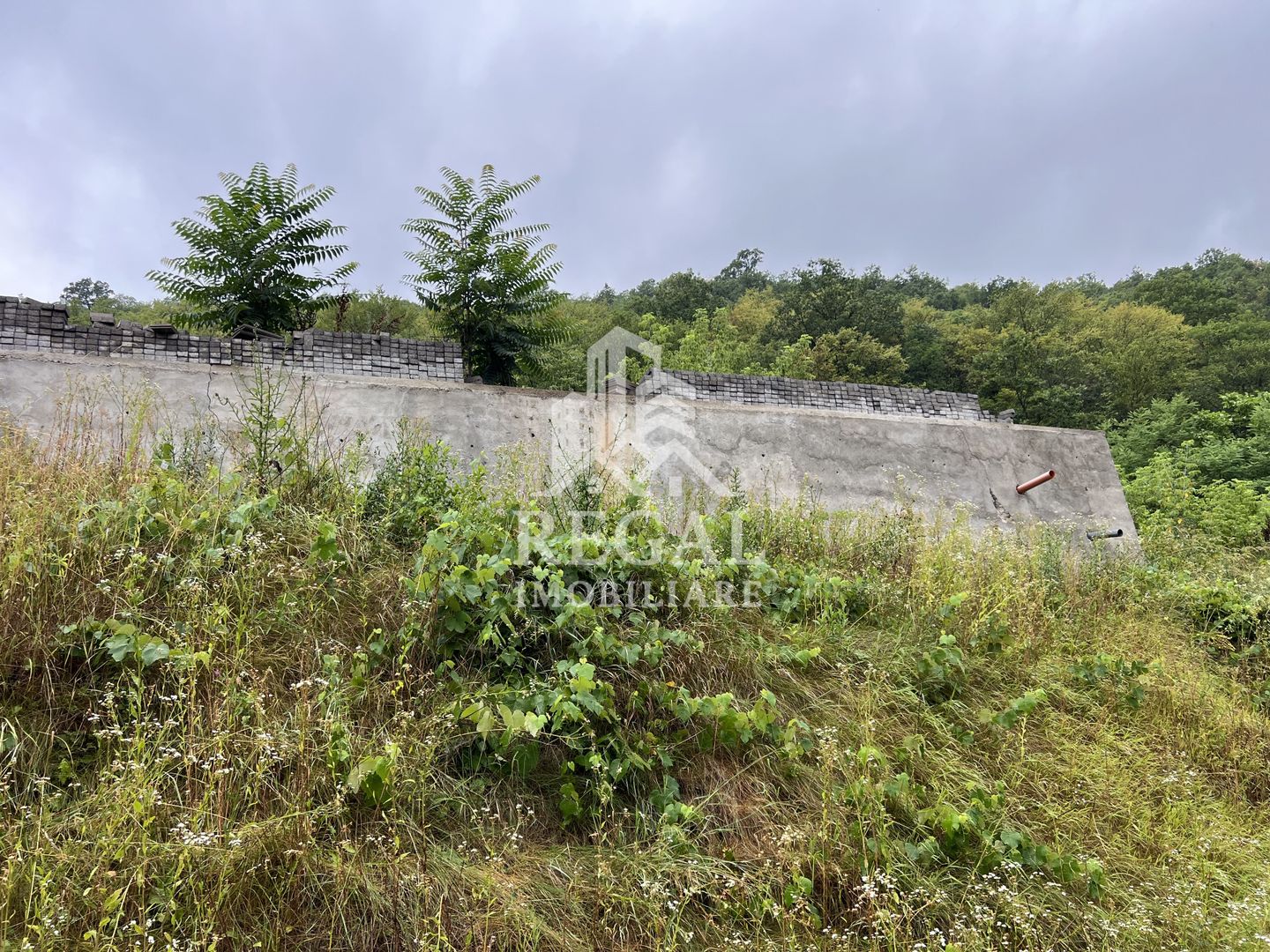 Proprietate cu potențial, într-un cadru natural de vis – 3581 mp teren - Poză 13
