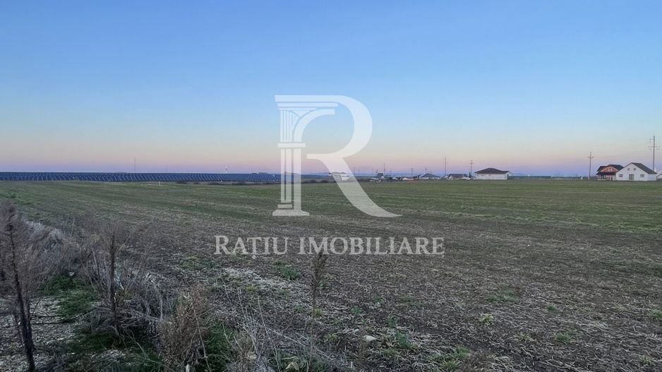 Teren intravilan 500 MP | Livada de Bihor | Bihor - Poză 2