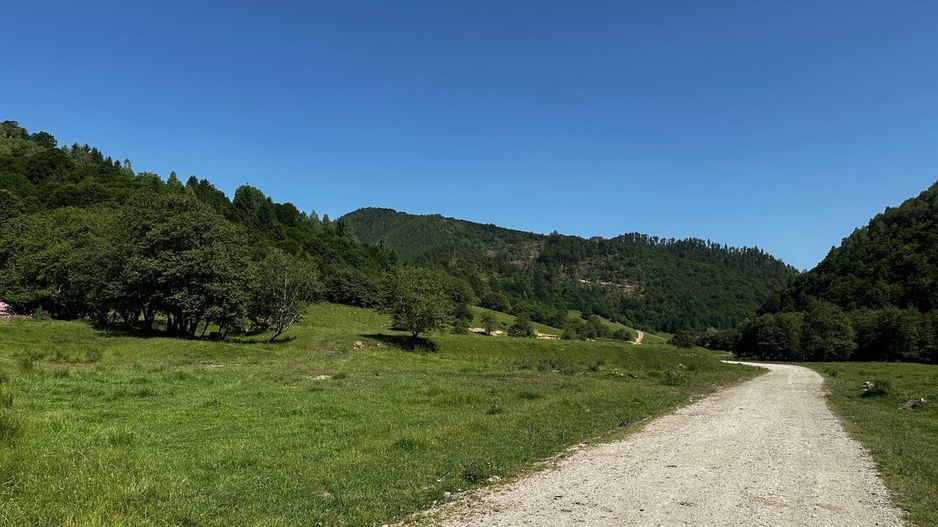 2 Loturi a 2124+2744mp Barsa Fierului / Plaiul Foii - Poză 12