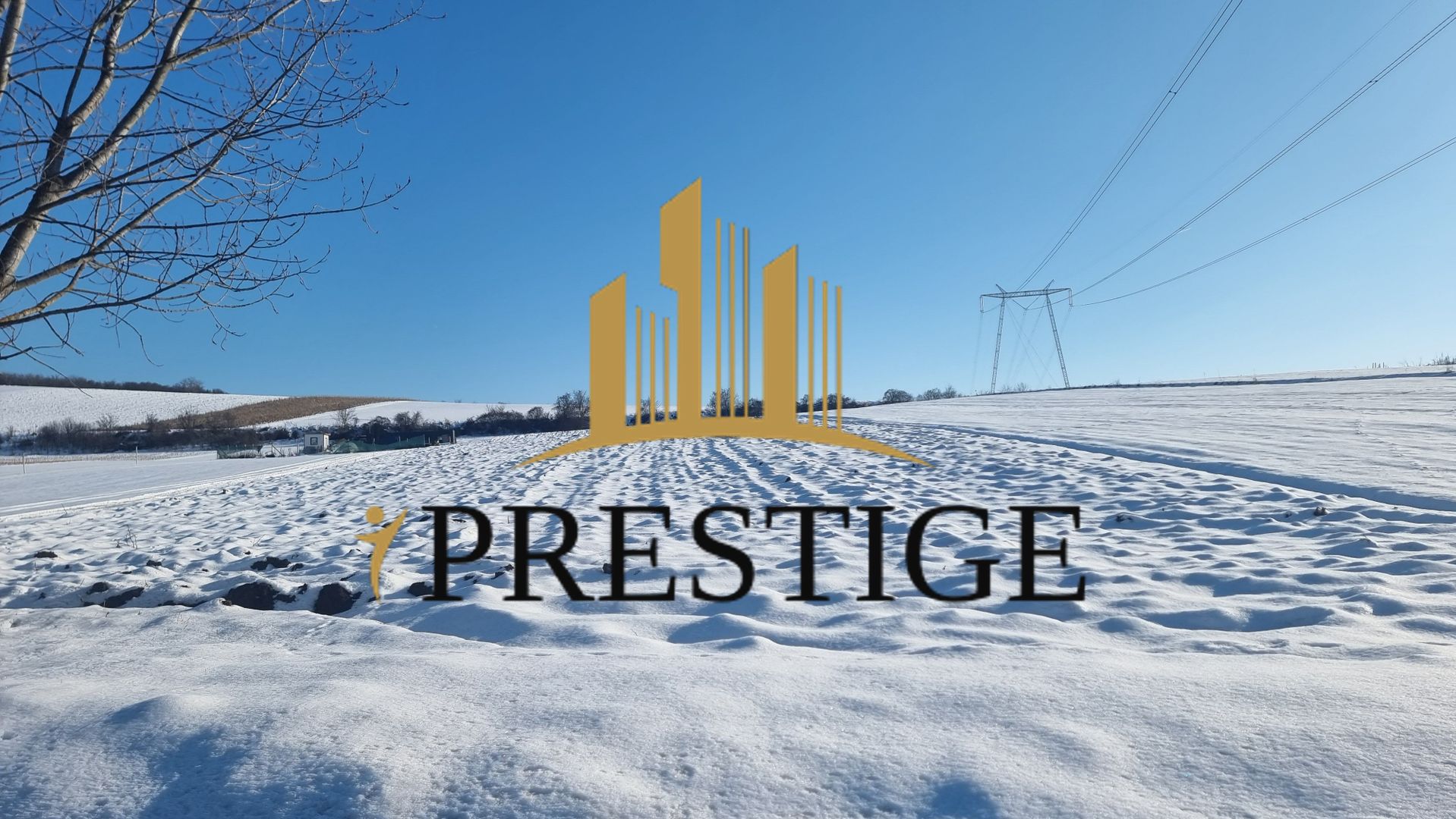 FĂRĂ COMISION | TEREN 6695 MP ÎN ȘURA MARE - Poză 8