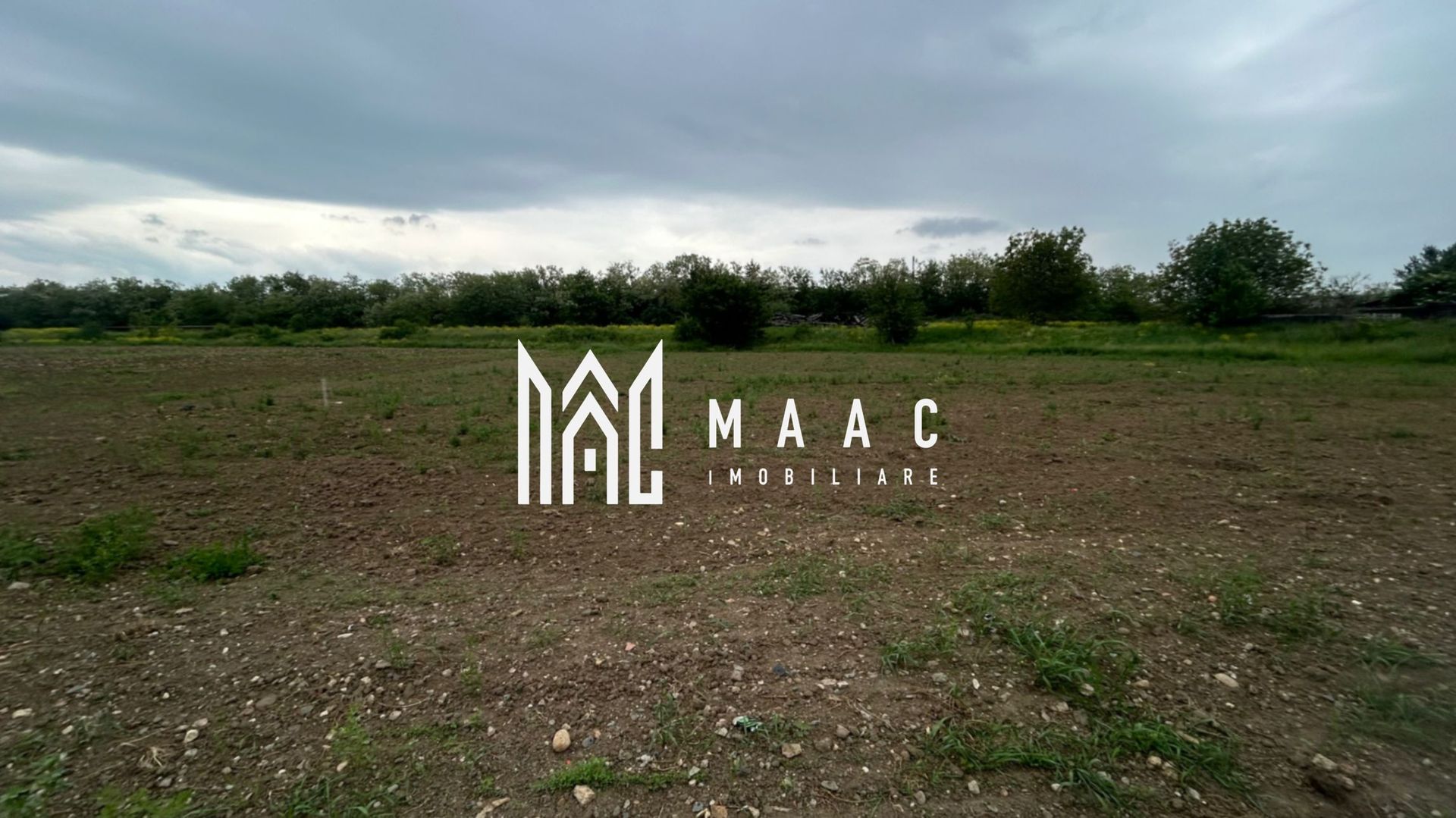Teren Șelimbăr | 4517Mp | Intravilan - Poză 4