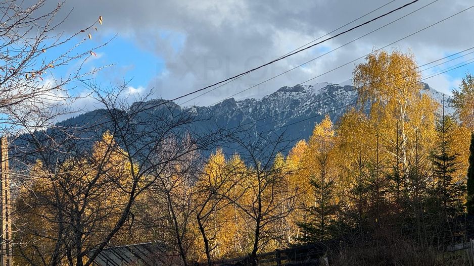 Intravilan 1000 mp | Sohodol-Priveliște panoramică către munți Bucegi - Poză 3