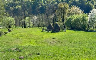 TEREN INTRAVILAN 2592 MP,  ALBESTI DE MUSCEL, ARGES - Poză 11