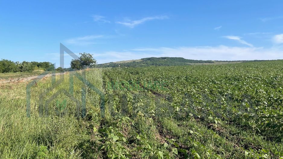 Teren de vânzare 4.850 mp în comuna Mogoșești, sat Budești - Poză 3
