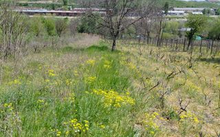 Teren intravilan 3.250 mp în Filești – Ideal pentru casă sau investiție! - Poză 22