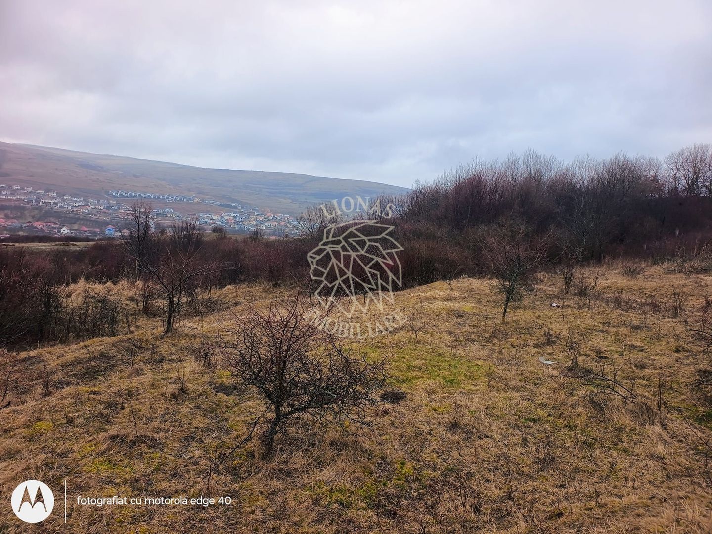 Teren de vânzare intravilan 8500 mp Chinteni Cluj oportunitate investitie - Poză 3