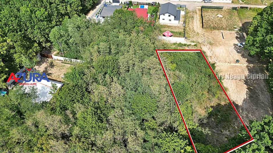 AZURA Imobiliare - Vanzare teren Hintesti, langa padure, 300m din DN - Poză 16
